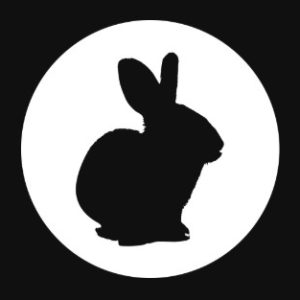 rabbits